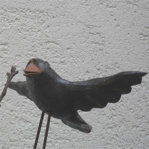 Amsel fliegend